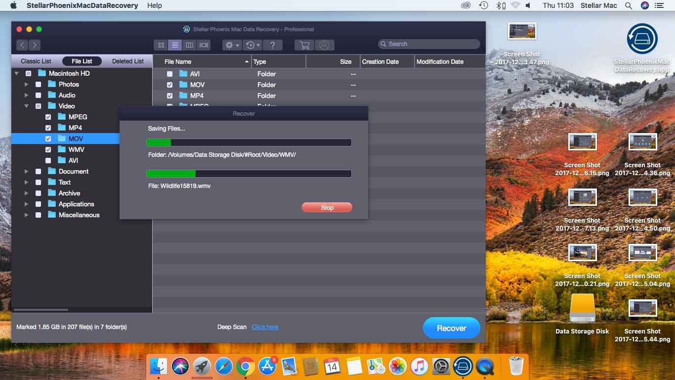 Stellar phoenix mac data recovery