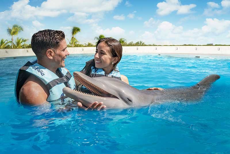 swim-with-dolphins-in-punta-cana