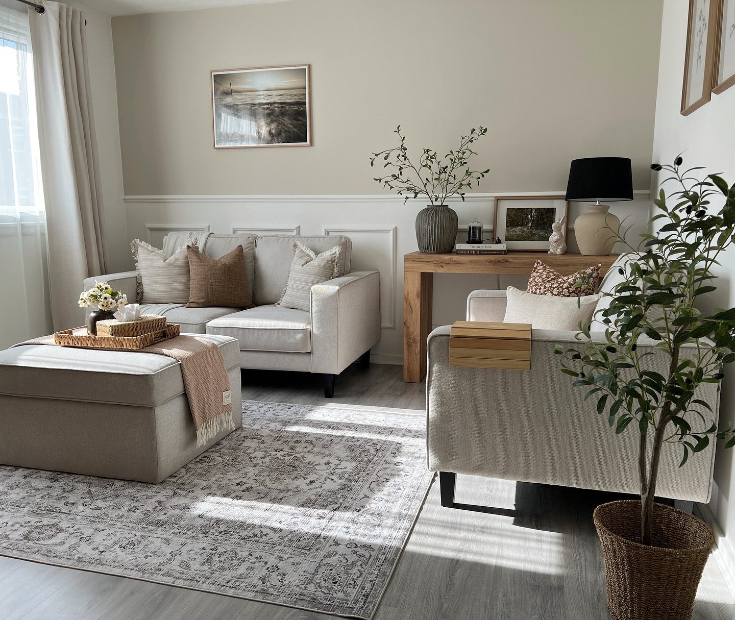 A large, light gray and off-white rug with a classic, intricate medallion pattern in a living room.