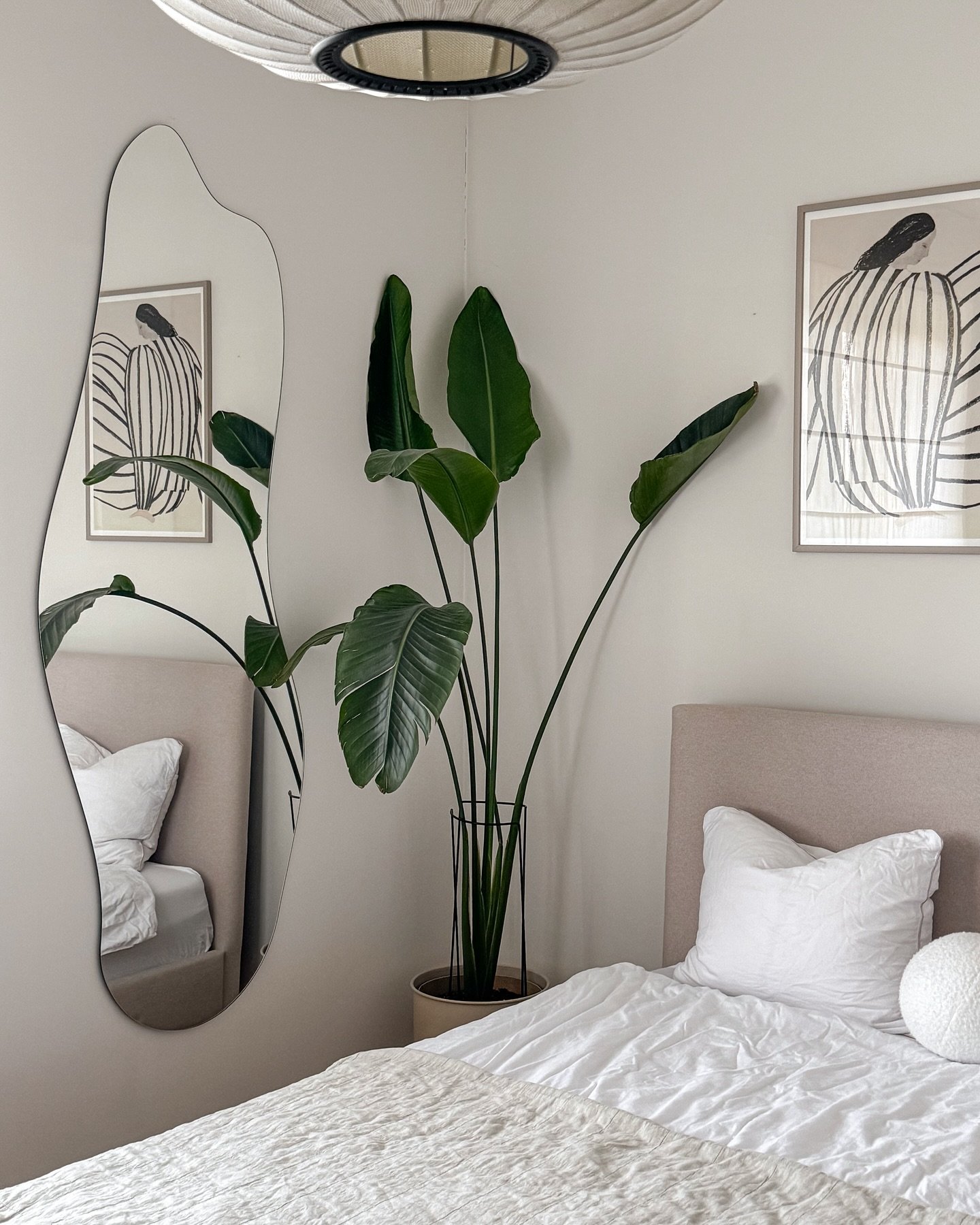 A large, frameless mirror with an irregular, wavy shape leans in a bedroom corner, reflecting a bed and a large potted plant.