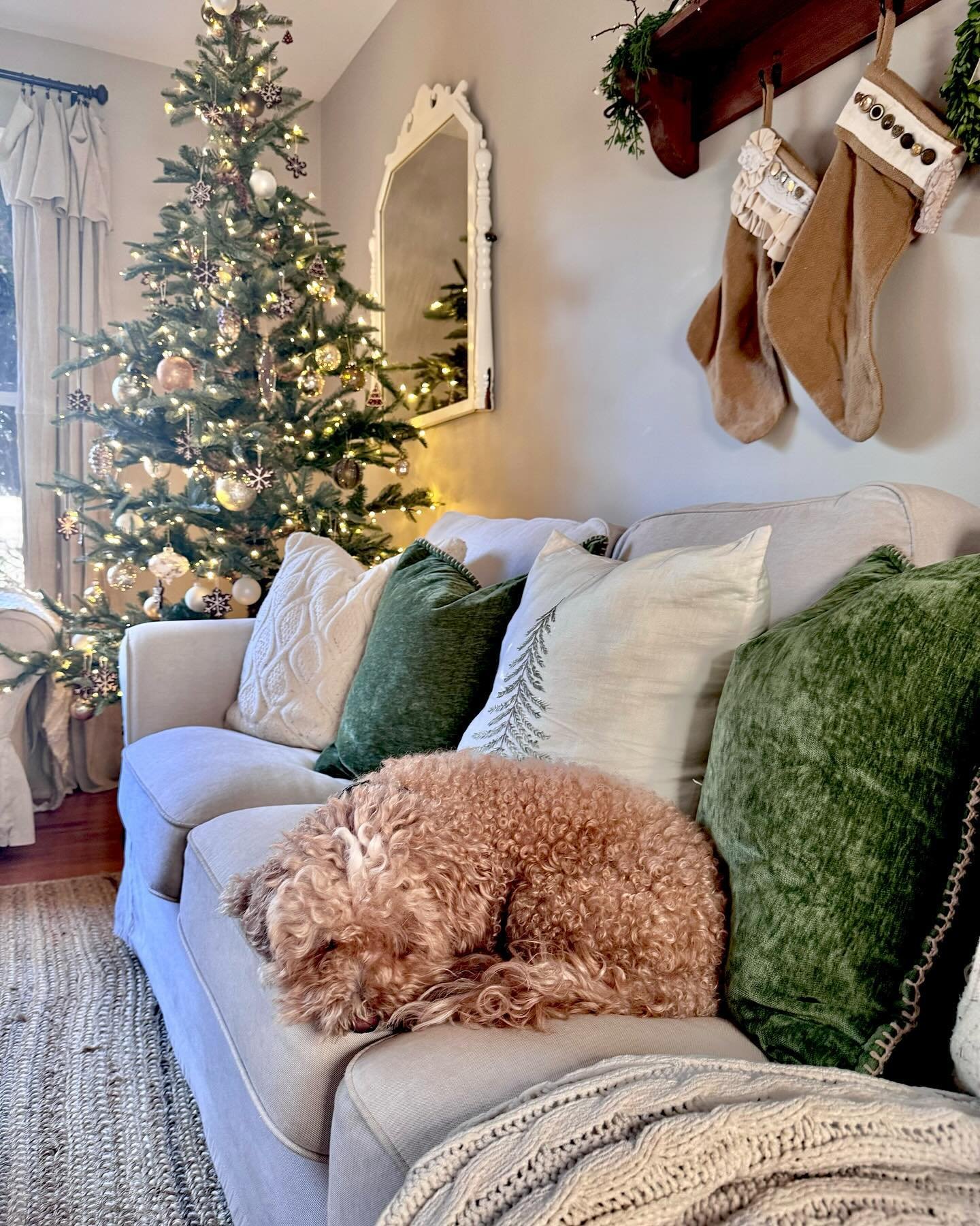 Cozy living room scene with a dog sleeping on a light sofa, green velvet pillows, and a decorated Christmas tree in the background.