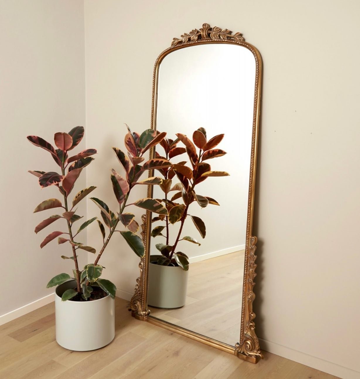 A tall, ornate arch mirror with a detailed gold frame leans against a cream-colored wall, with two potted plants in front of it.