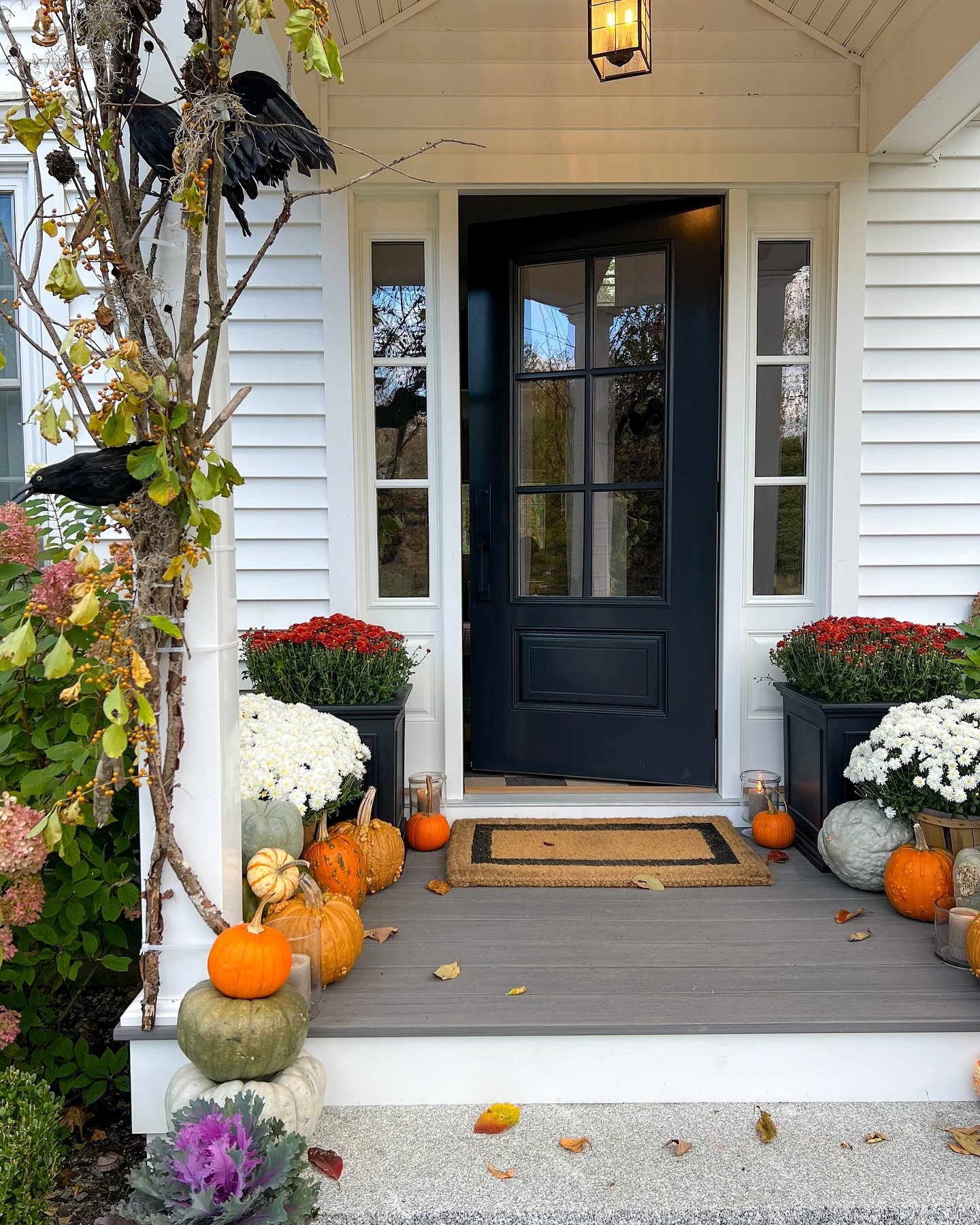 A white and black front porch decorated with a mix of orange and white pumpkins, mums, and two decorative black crows on a branch.