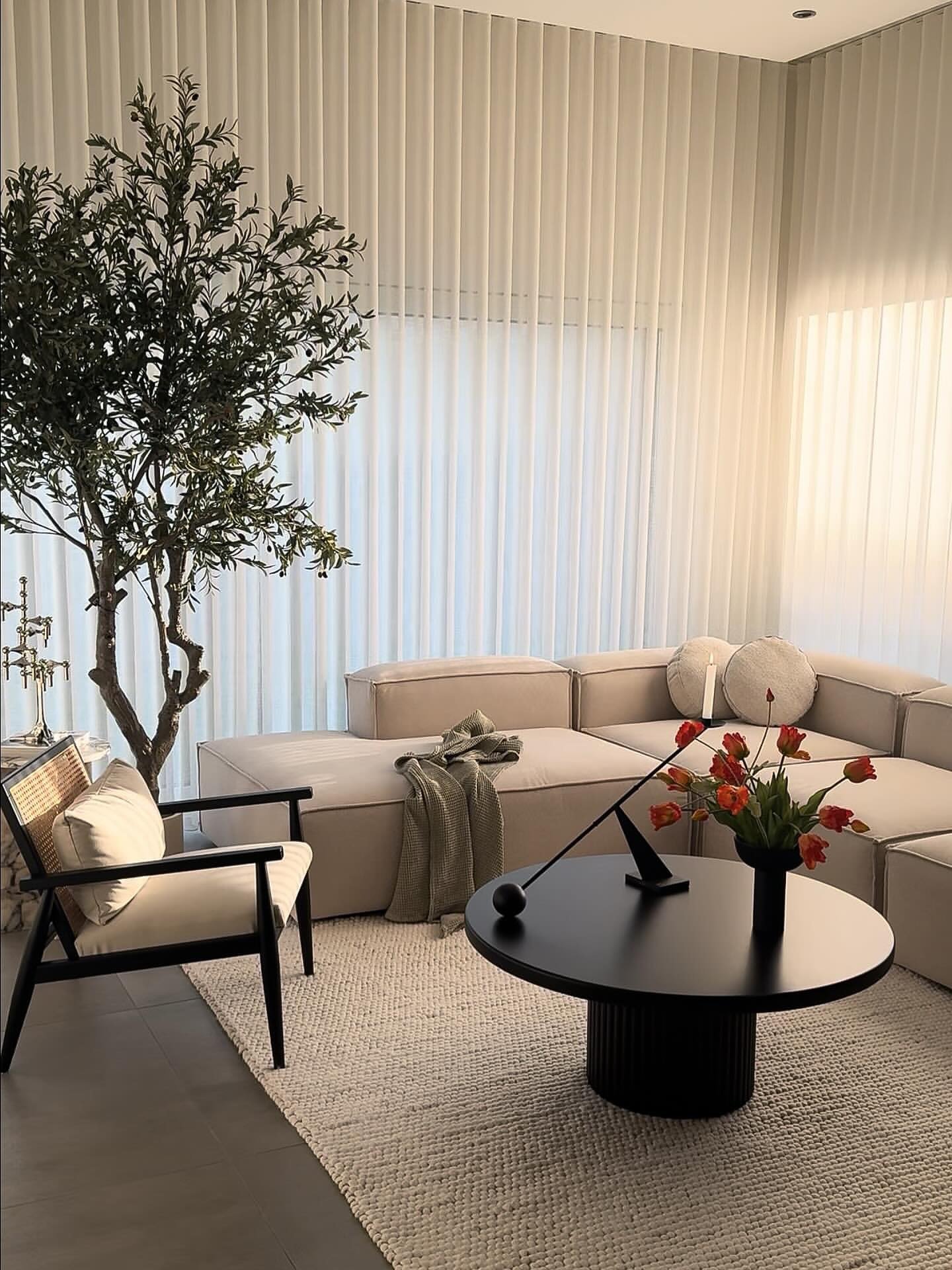 A cozy, modern living room featuring a light beige modular sofa, white wave-style sheer curtains, a large faux olive tree, and a round black pedestal coffee table.