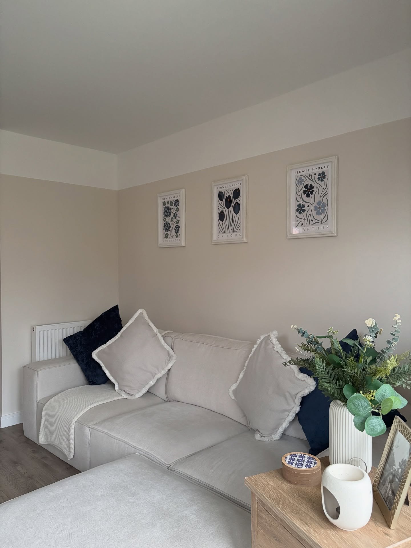 A simple, modern beige living room with a low-slung sofa, deep navy accent pillows, and a trio of framed floral art prints above the couch.