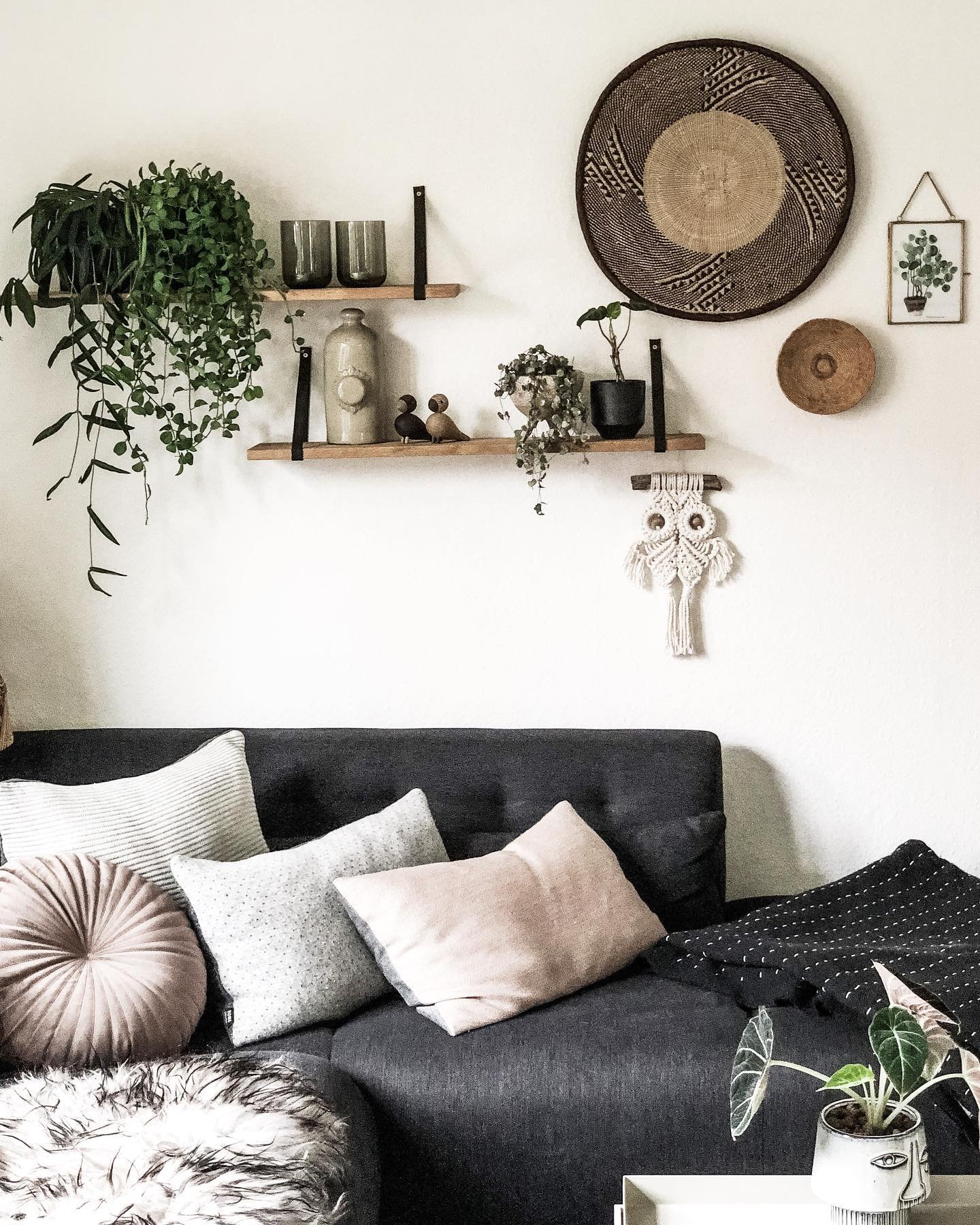 Wooden shelves hanging by black leather straps with trailing plants and woven wall decor