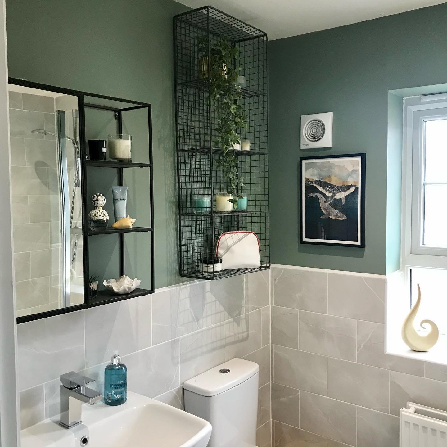 Bathroom wall decor featuring sage green paint and black wire shelves