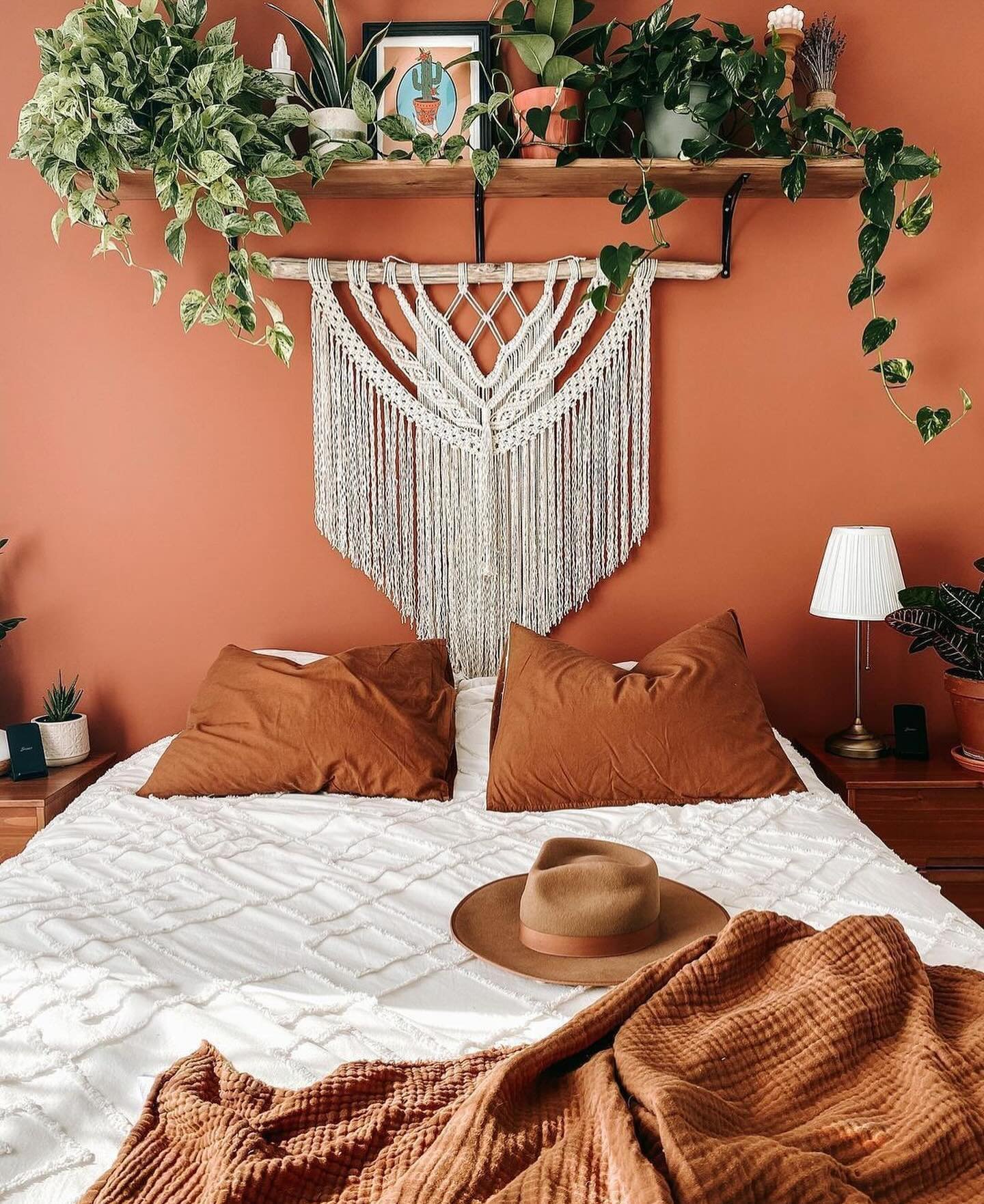 Macrame wall hanging and shelf with plants on rust colored wall